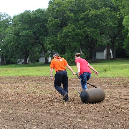 McLeod cotton planting May 22 McLeod cotton planting May 22