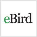 Link to eBird