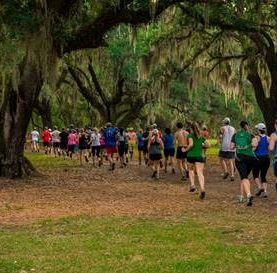 Mullet Hall run by MB Keene