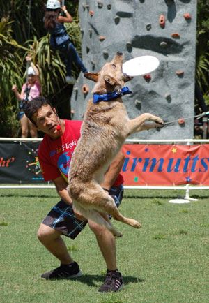 K9s-In-Flight frisbee demonstration