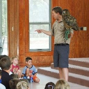 Summer Entertainment Series - Birds of Prey