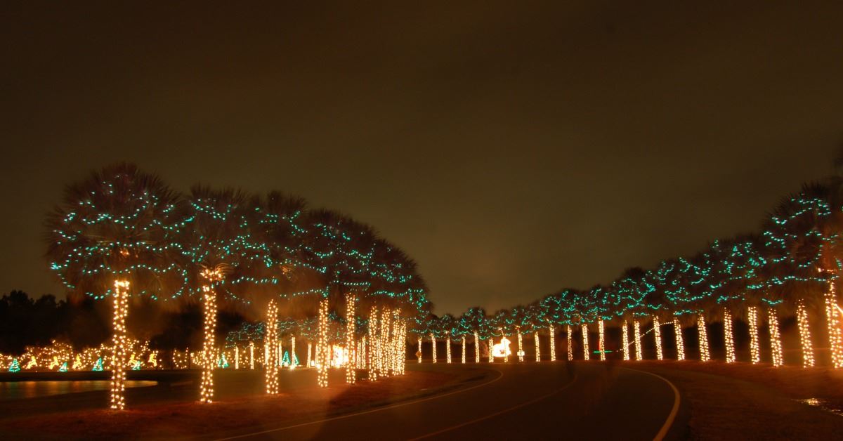 Image of part of the run-walk course with lighted Palmettos at the Holiday Festival of Lights