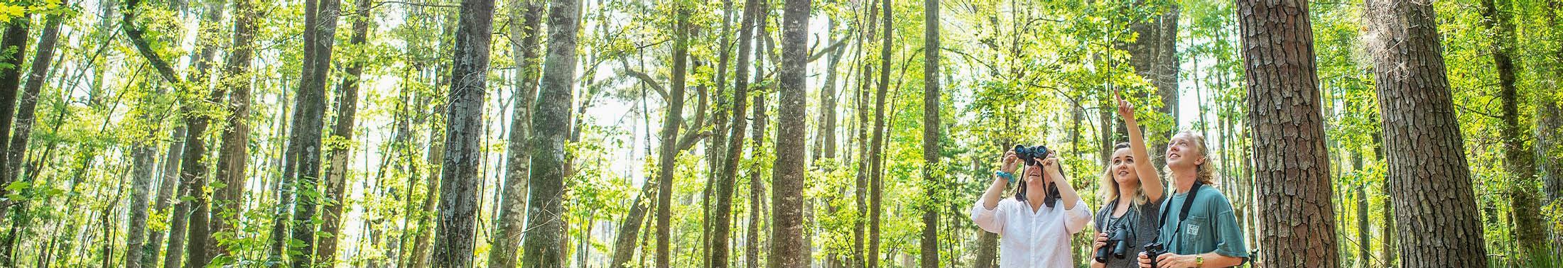 Birdwatchers in forest