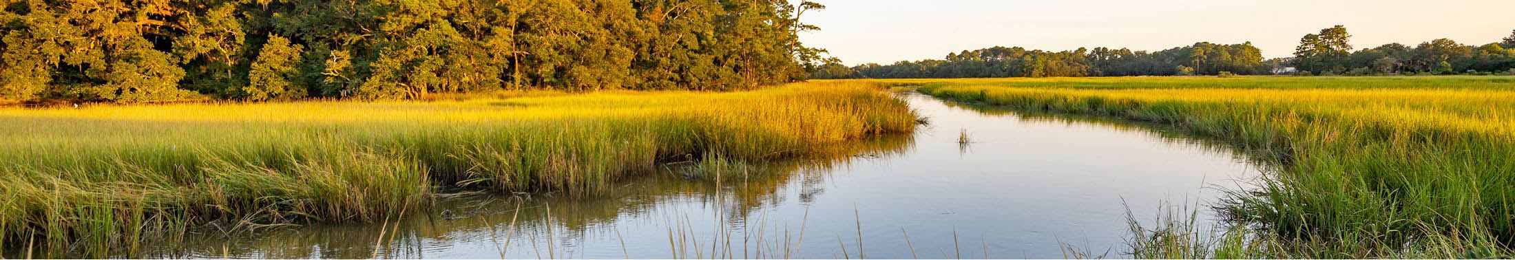 River passing fields