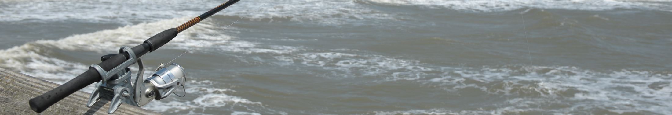 Fishing pole in front of ocean water