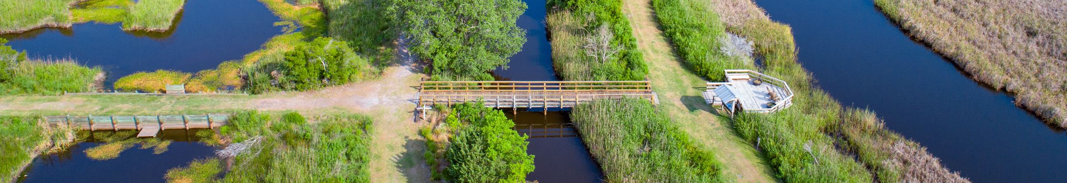 View of the marsh at Caw Caw Interpretive Center