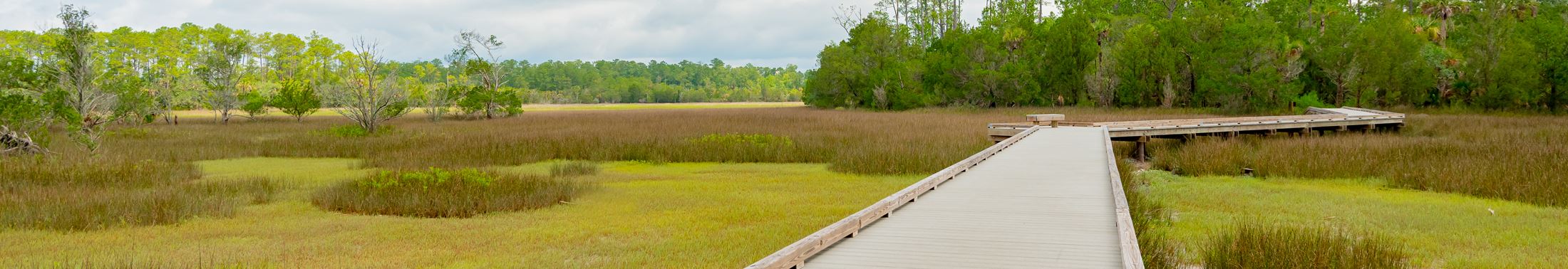 The boardwalk over the marsh at Palmetto Islands County Park