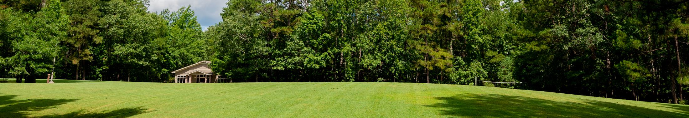 Grass in an open meadow at Wannamaker County Park