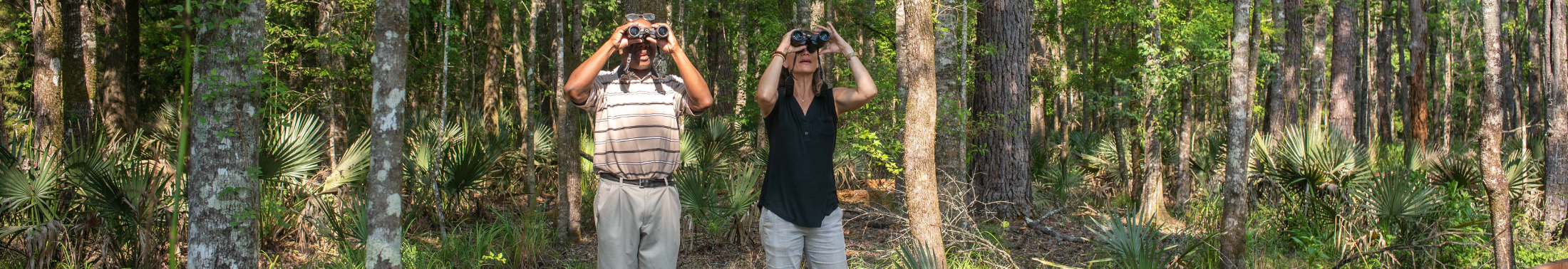 Man and woman birdwatching