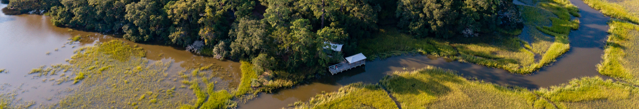 Birds-eye view of the marsh and dock at Old Towne Creek County Park