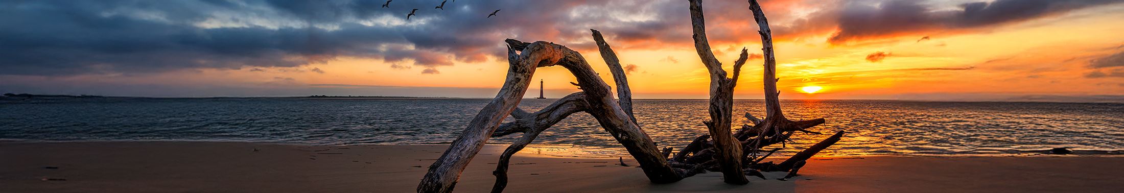 Sunrise over the ocean with beach and driftwood in the foreground and Morris Island Lighthouse on th