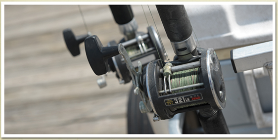 Fishing Reels