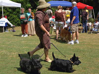 Scottie Dogs at Pet Fest