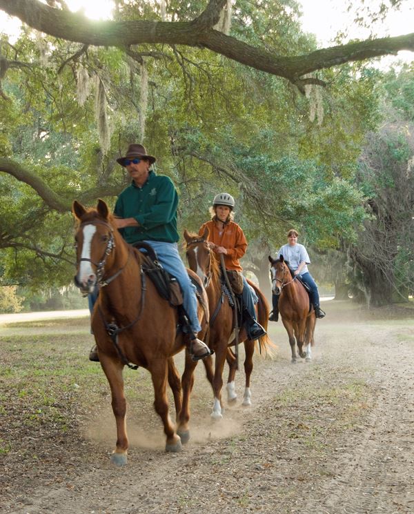 People riding the trails on horseback