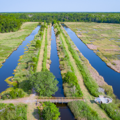 View of the marsh grounds at Caw Caw Interpretive Center