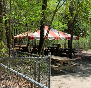 Dogwood Canopy Tent with picnic tables and surrounding trees