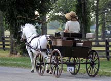 Image of Horse-Drawn Carriage